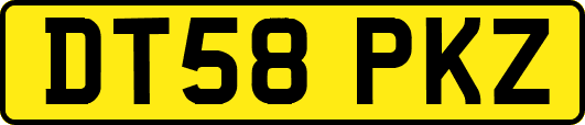 DT58PKZ