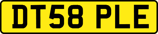 DT58PLE
