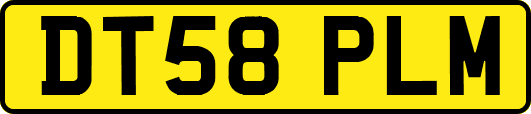 DT58PLM