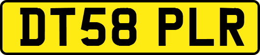 DT58PLR