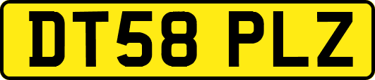 DT58PLZ