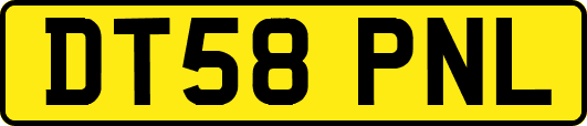 DT58PNL