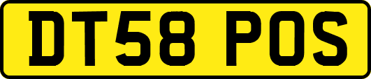 DT58POS
