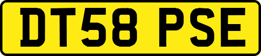 DT58PSE