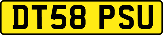 DT58PSU