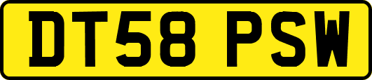 DT58PSW