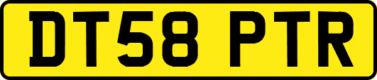 DT58PTR