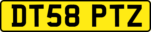 DT58PTZ