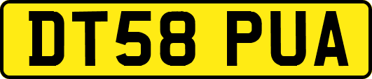 DT58PUA