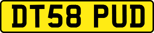 DT58PUD
