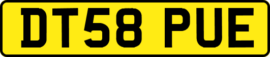 DT58PUE