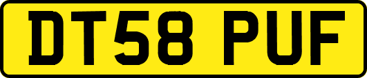 DT58PUF