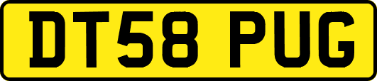 DT58PUG