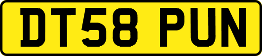 DT58PUN
