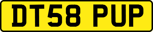 DT58PUP