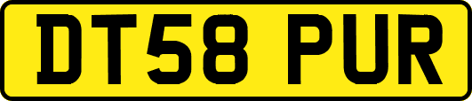 DT58PUR