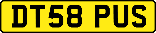 DT58PUS