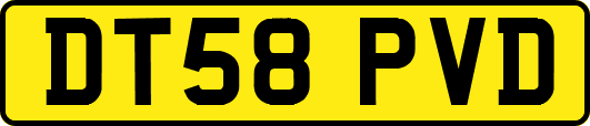 DT58PVD
