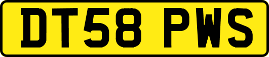 DT58PWS