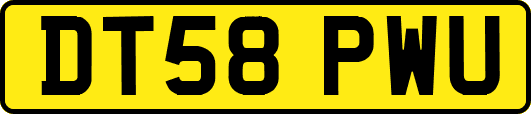DT58PWU