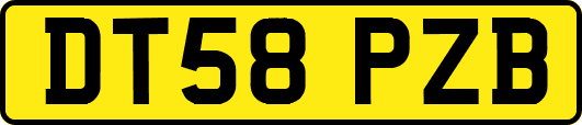 DT58PZB