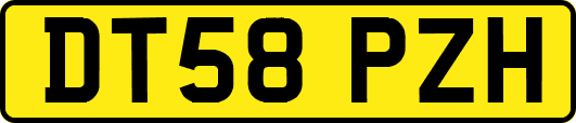DT58PZH