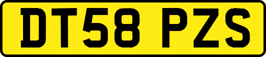 DT58PZS