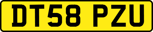 DT58PZU