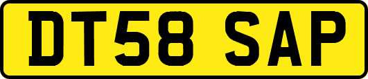DT58SAP