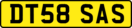 DT58SAS