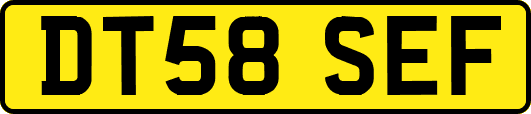DT58SEF