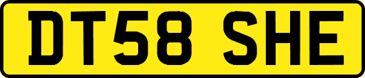 DT58SHE