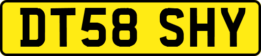 DT58SHY