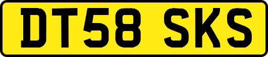 DT58SKS