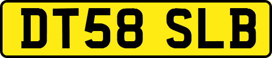 DT58SLB