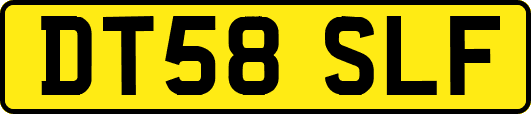 DT58SLF