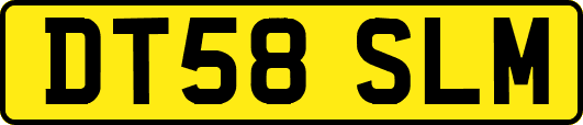 DT58SLM