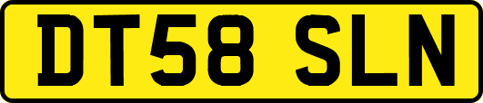 DT58SLN