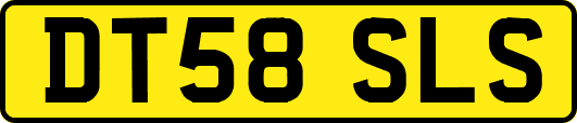 DT58SLS