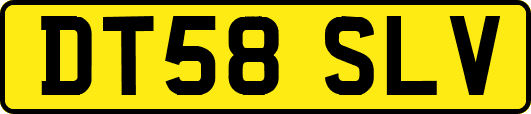 DT58SLV