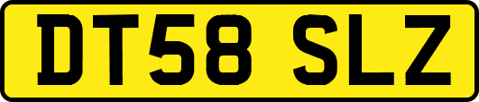 DT58SLZ