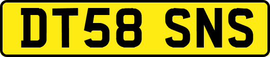 DT58SNS