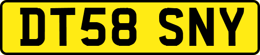 DT58SNY