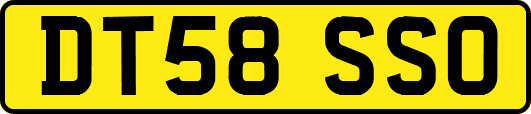 DT58SSO