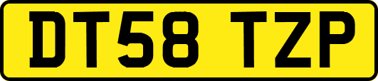 DT58TZP