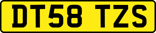 DT58TZS