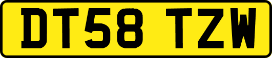 DT58TZW