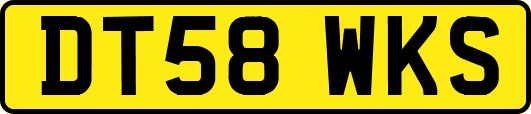 DT58WKS