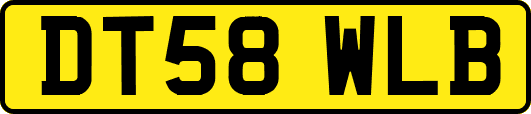 DT58WLB