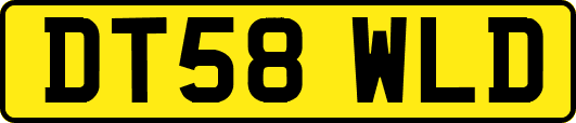 DT58WLD